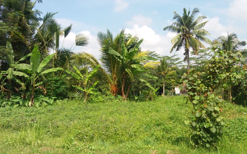 Land for Villa at Keliki – Gianyar