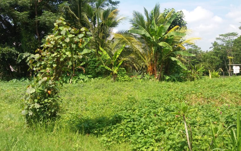 Land for Villa at Keliki – Gianyar