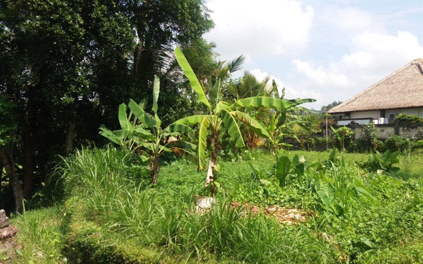 Land for Villa at Keliki – Gianyar