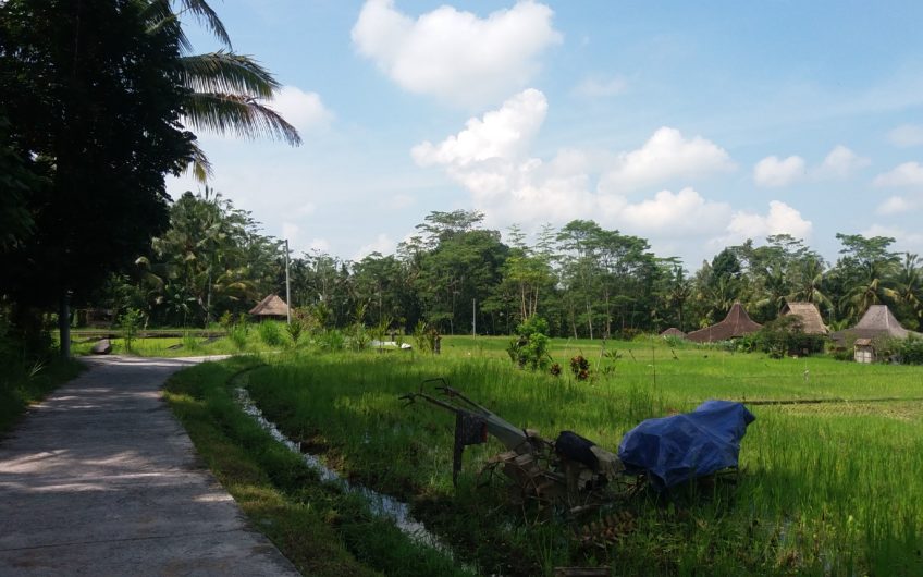 Land for Villa at Keliki – Gianyar