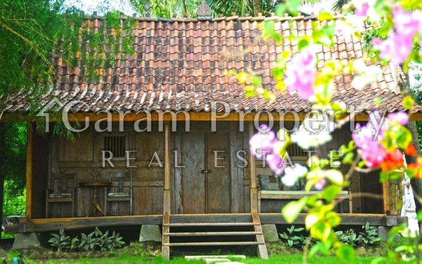 Beach Front Villa in Karangasem (SOLD)