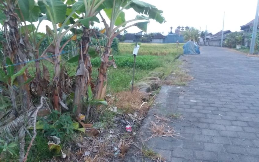 Land for Residence Tabanan