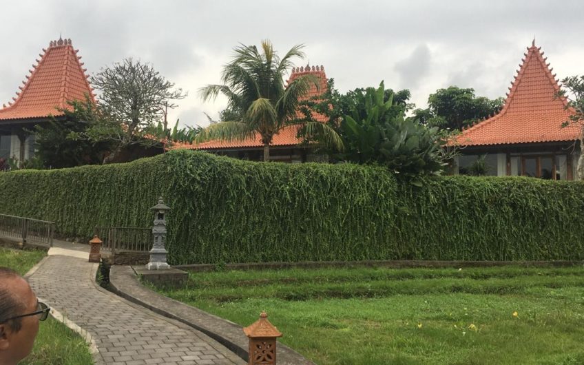 Joglo Villas in the Ricefield