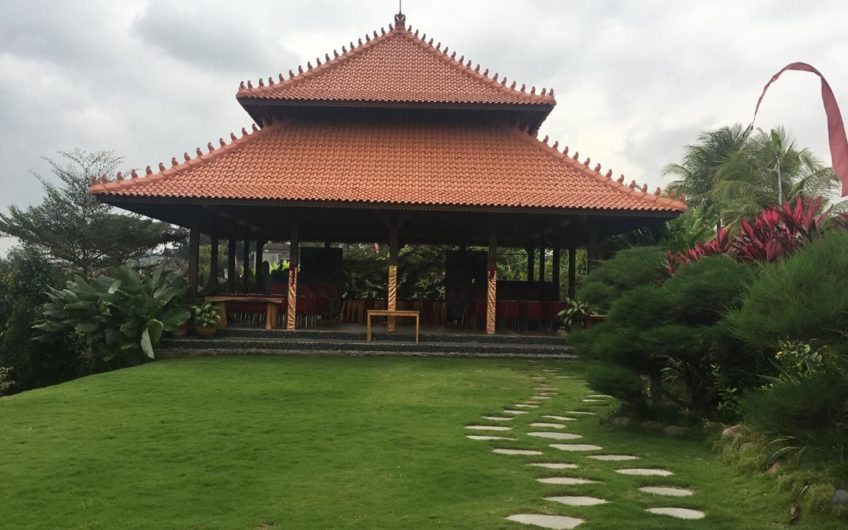 Joglo Villas in the Ricefield