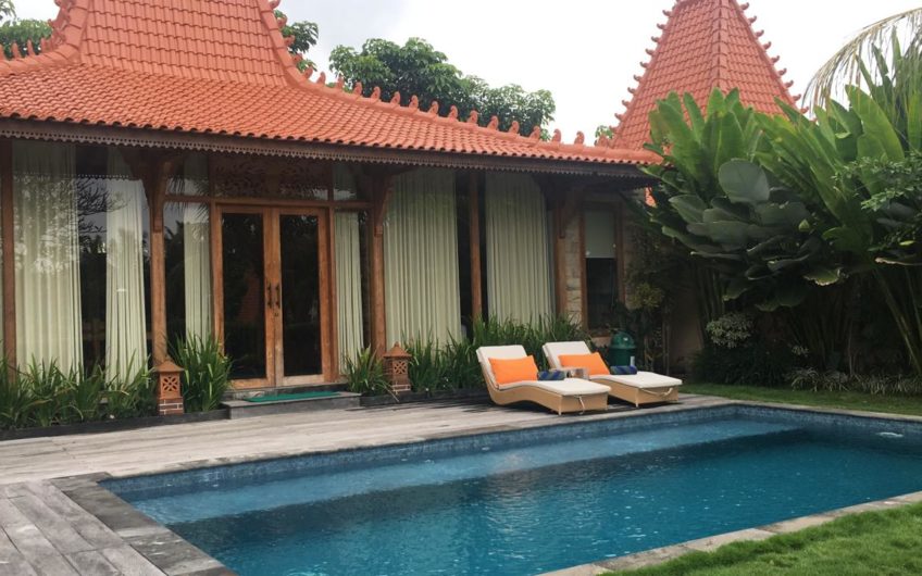 Joglo Villas in the Ricefield