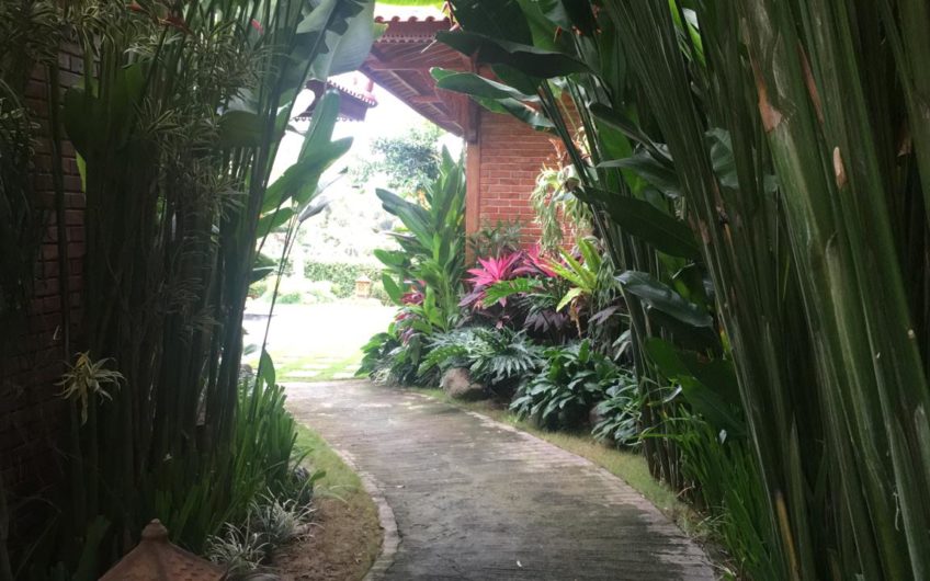 Joglo Villas in the Ricefield