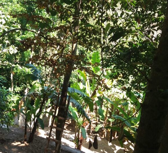 Land for Villa at Buwit Tabanan