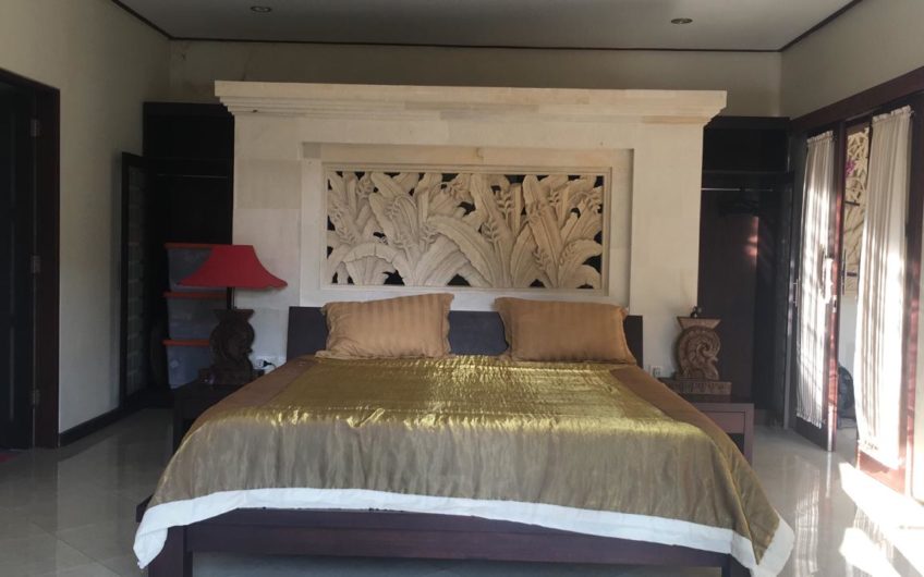 Warm Villa at Sanur