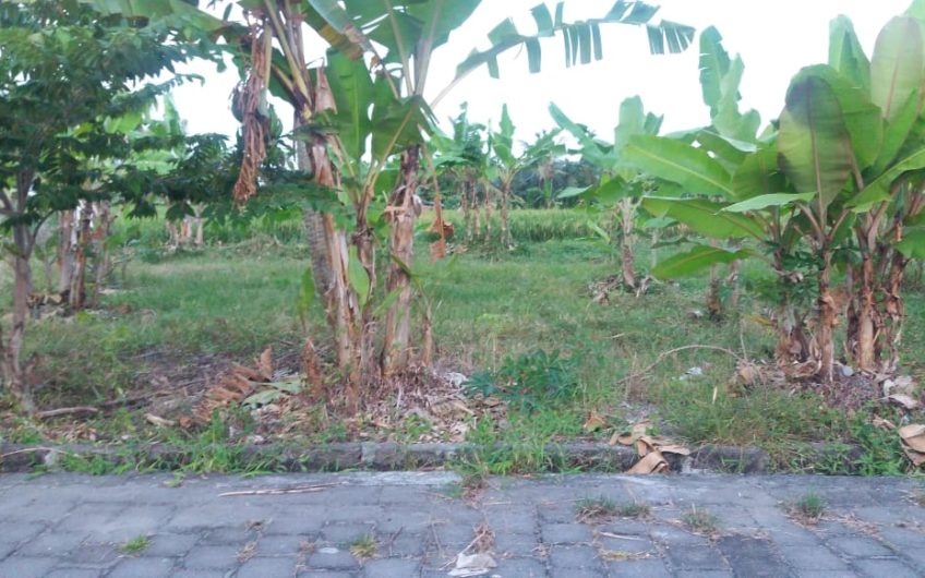 Land for Residence Tabanan