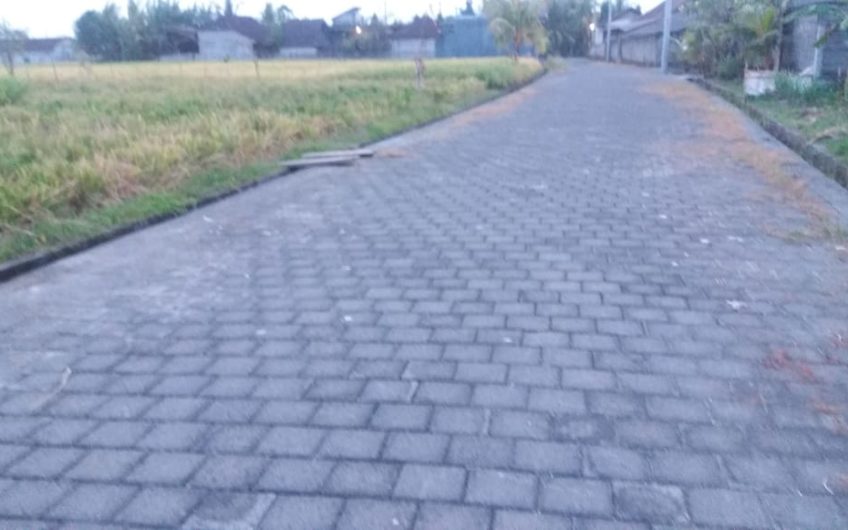 Land for Residence Tabanan