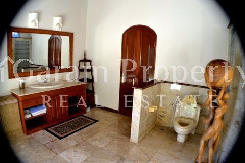 Stunning Villa at Tamblingan Sanur