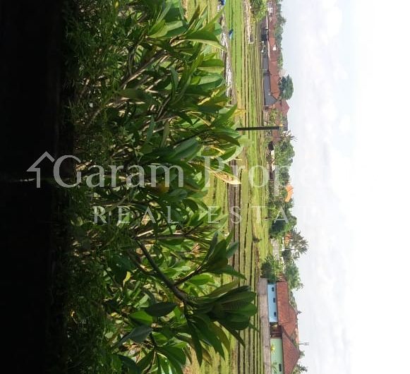 House at Kayu Tulang Canggu