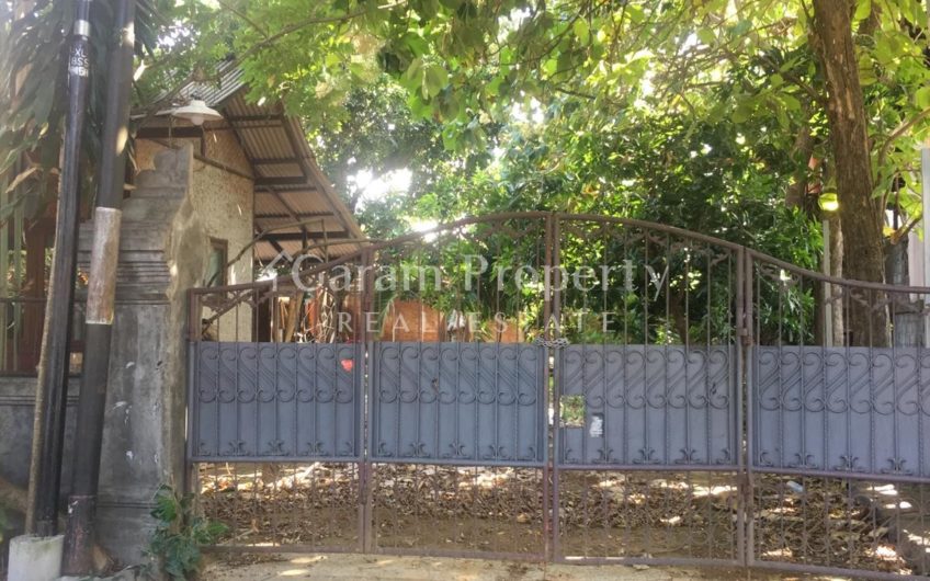 Tanah Cocok untuk Usaha Renon Denpasar
