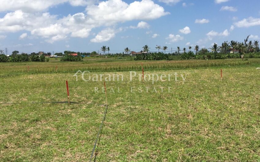Land for Residence at Beraban, Tabanan