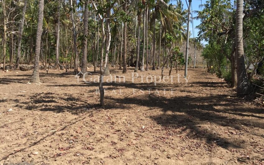 Ocean View Land for HUTS Nusa Penida