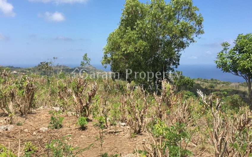 Ocean View Land Nusa Penida