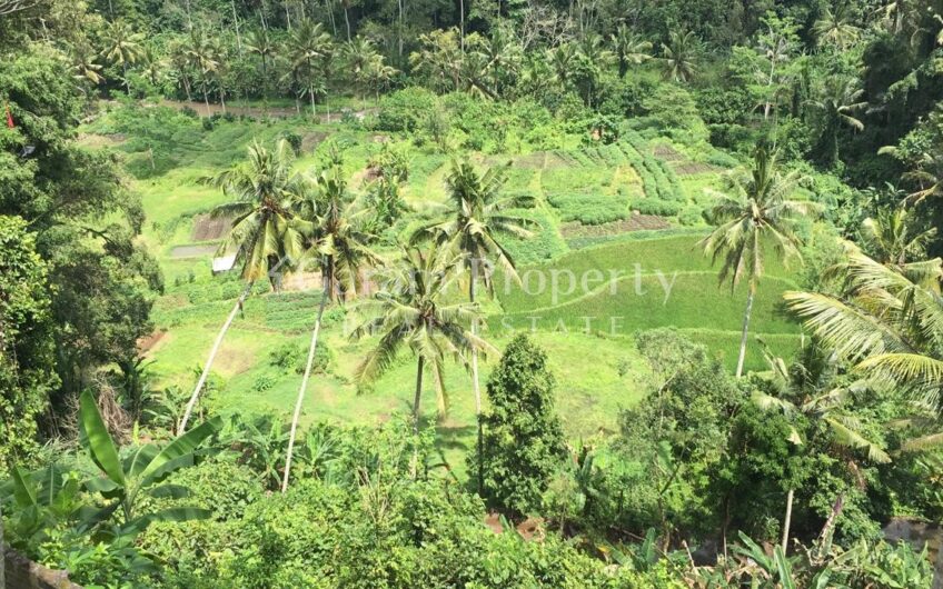 Land at Ubud Gianyar