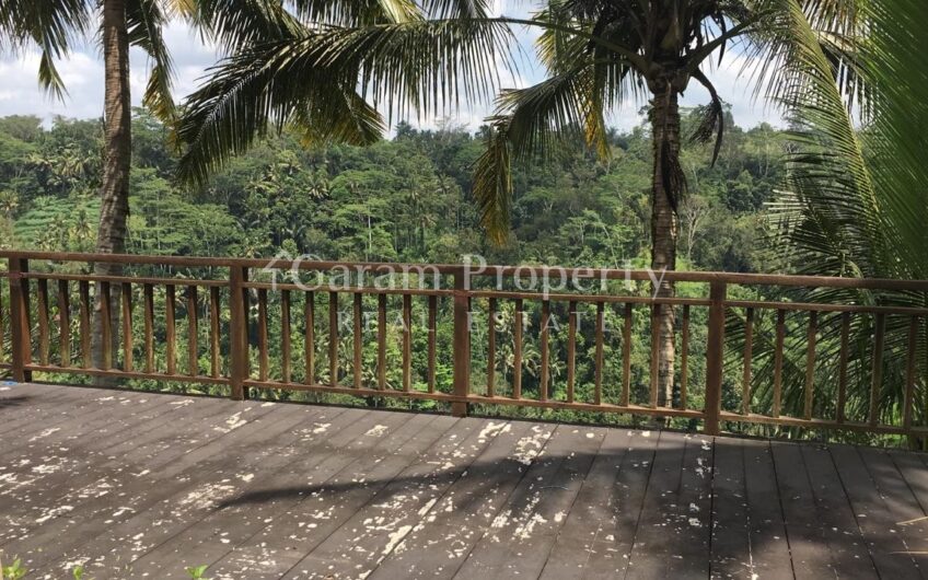 Land at Ubud Gianyar