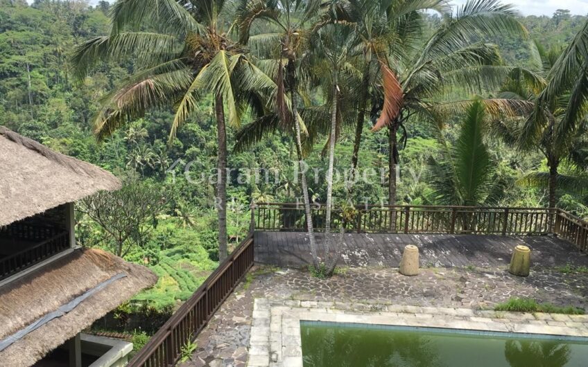 Land at Ubud Gianyar