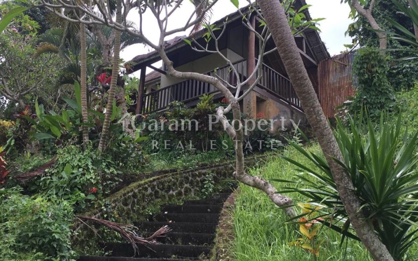 Land at Ubud Gianyar