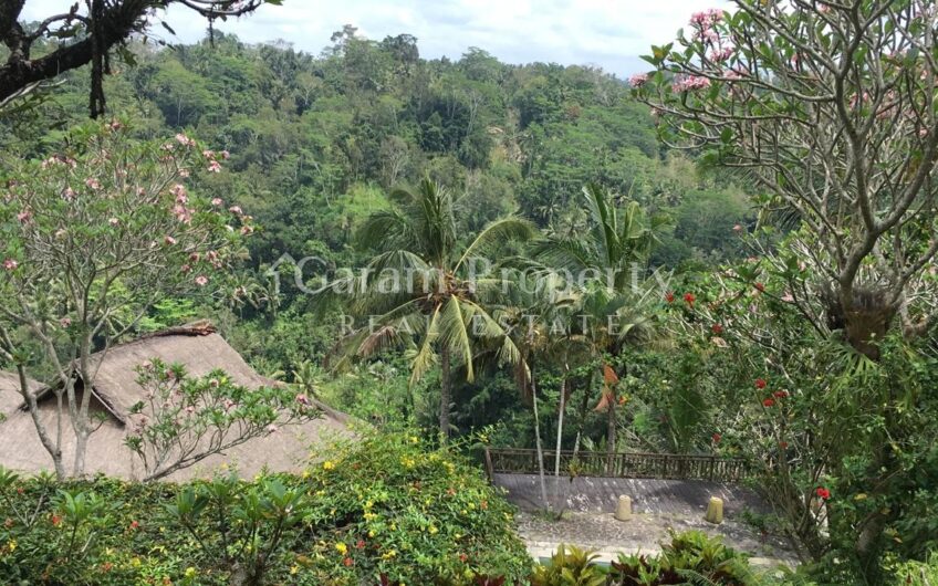 Land at Ubud Gianyar