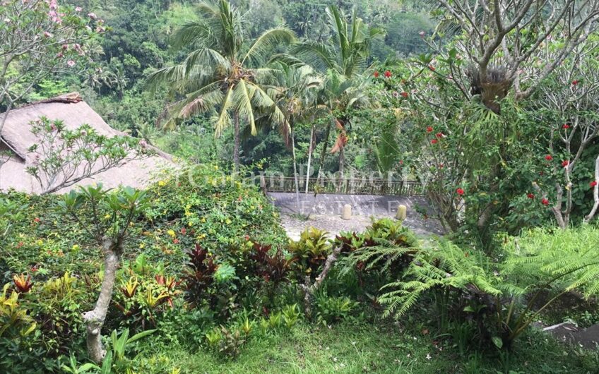 Land at Ubud Gianyar
