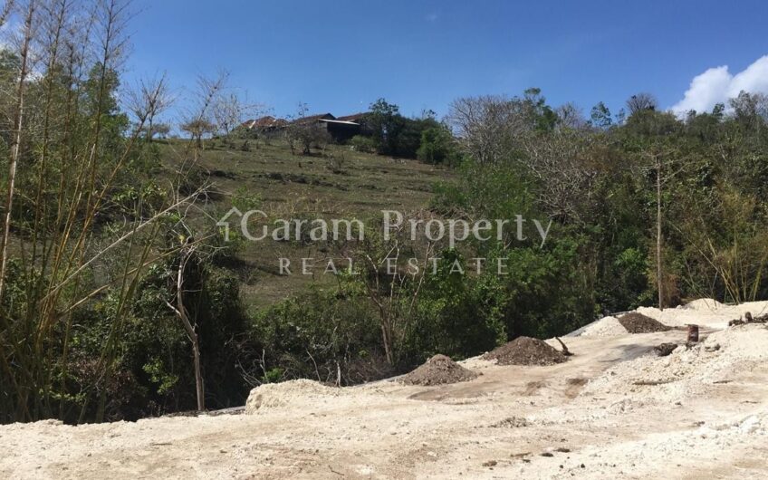 Land for Residence Goa Gong