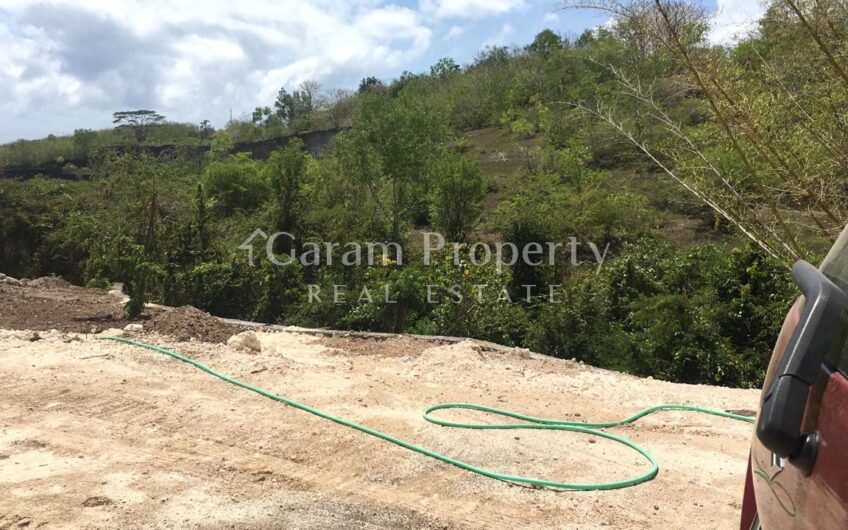 Land for Residence Goa Gong