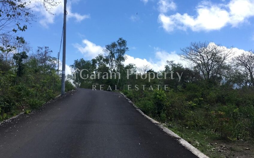 Land for Residence Goa Gong