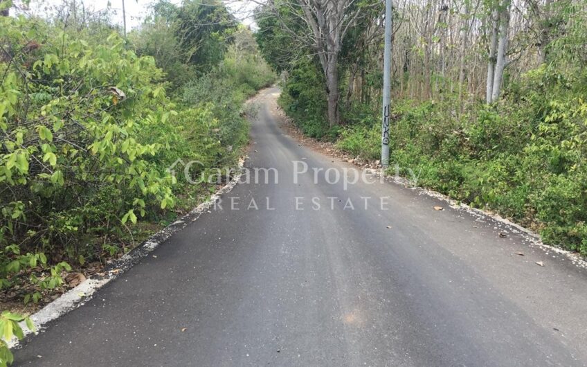 Land for Residence Goa Gong