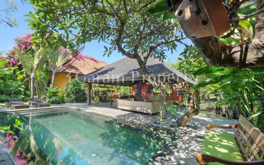 Stunning Villa at Sanur area