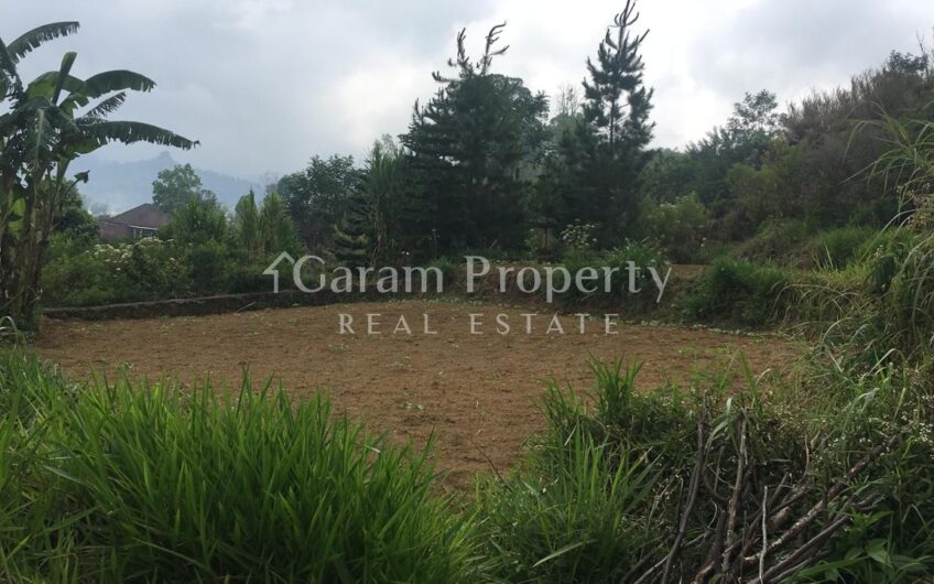 Lake View Land at Bedugul (SOLD)