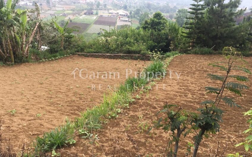 Lake View Land at Bedugul (SOLD)