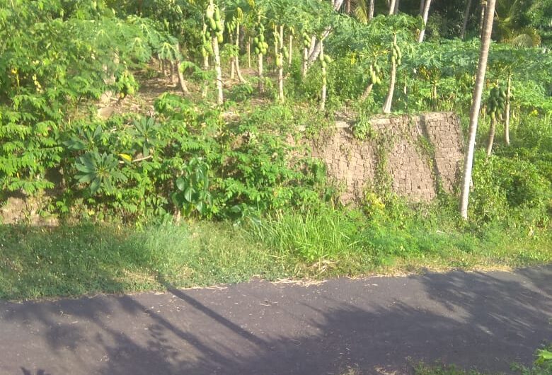 Land at Ubud