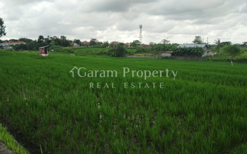 Land at Pererenan