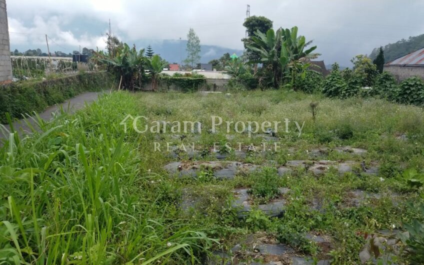 Land at Candikuning Bedugul