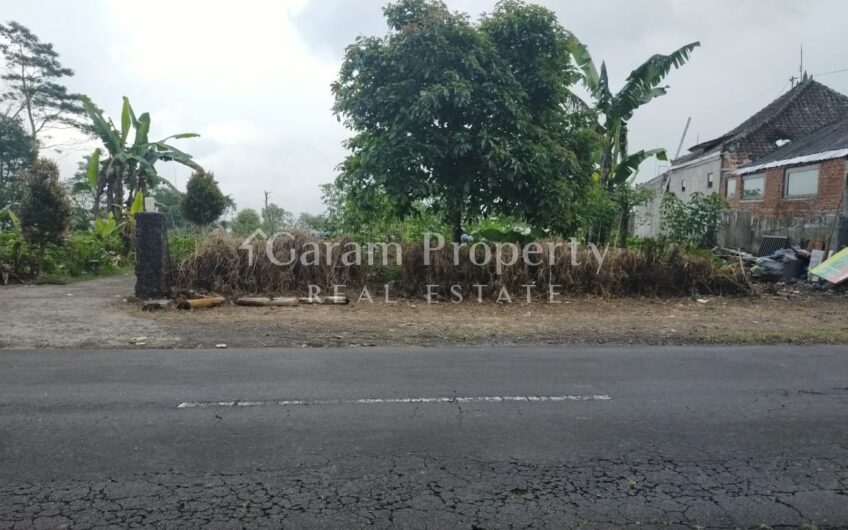 Land with Tamblingan’s Lake View