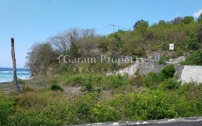 Small Size Beach front Land at Nusa Penida (8)