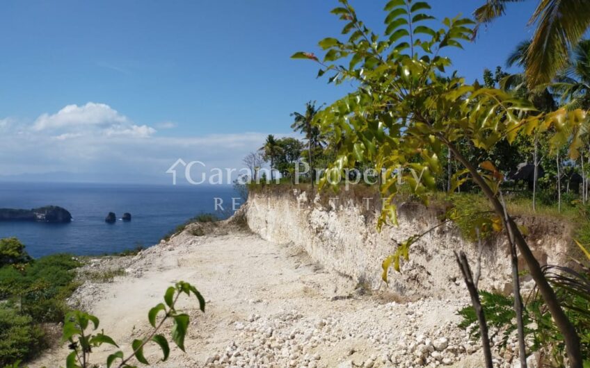 Small Size Land with Ocean View at Nusa Penida (5)
