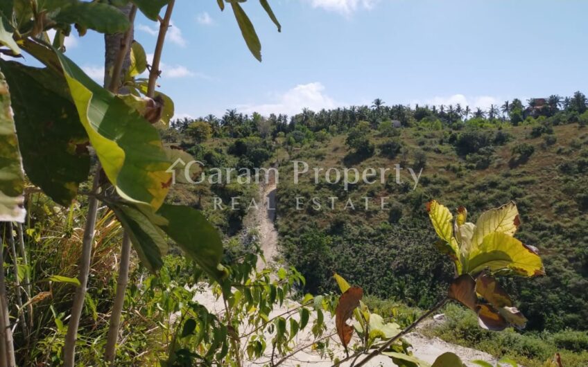 Small Size Land with Ocean View at Nusa Penida (5)