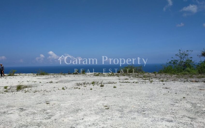 Small Size Land with Ocean View at Nusa Penida (6)