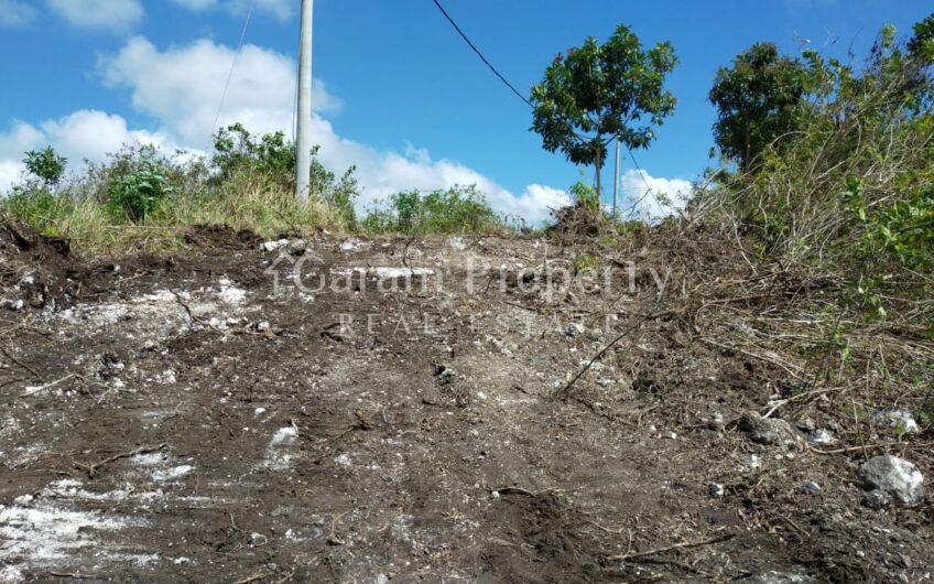 Small Size Land at Nusa Penida (4)