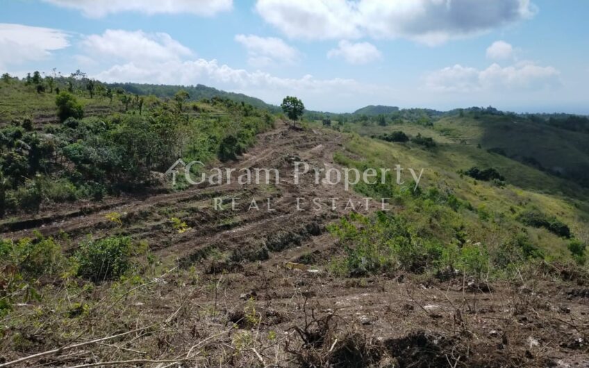 Small Size Land at Nusa Penida (4)