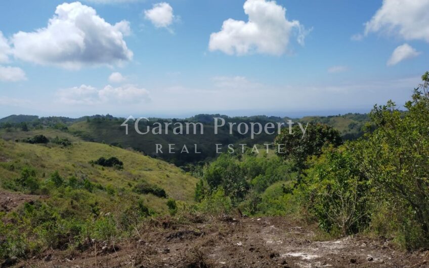Small Size Land at Nusa Penida (4)
