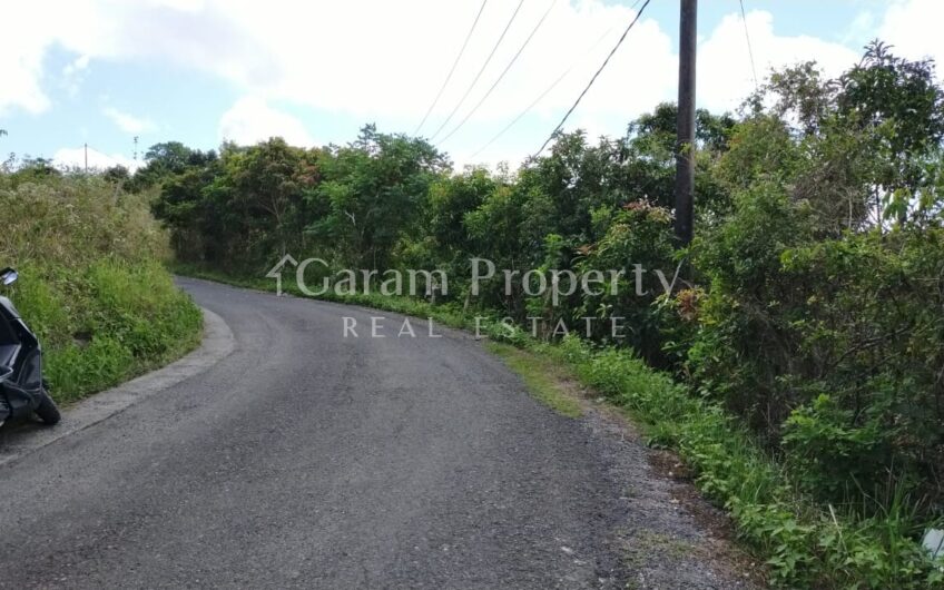 Small Size Land at Nusa Penida (4)