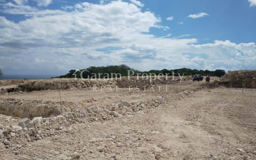 Small Size Land with Ocean View at Nusa Penida (9)