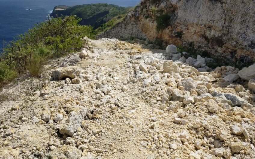 Small Size Land at Nusa Penida (7)