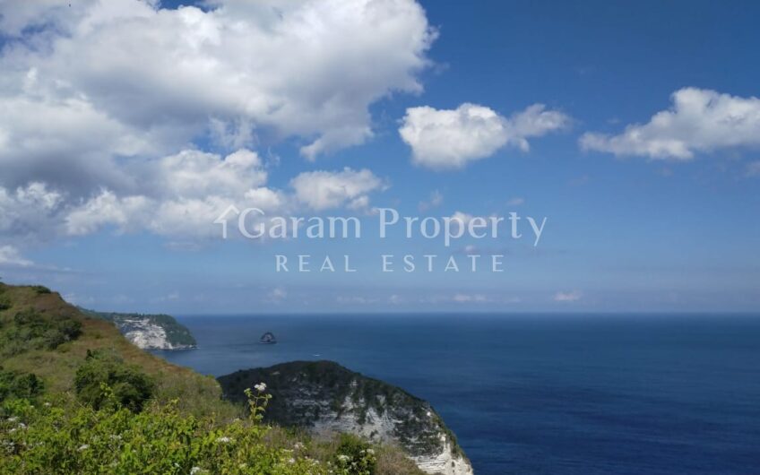 Small Size Land at Nusa Penida (7)