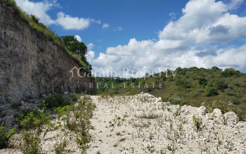 Small Size Land at Nusa Penida (7)