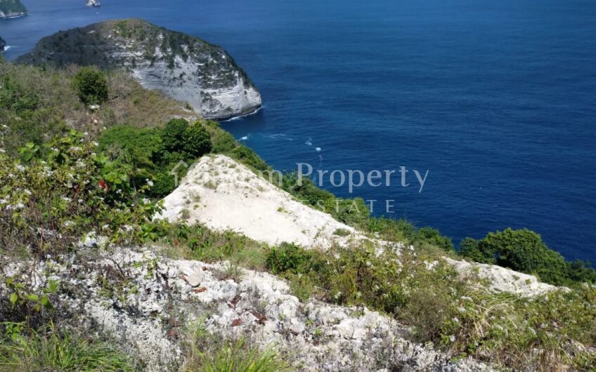Small Size Land at Nusa Penida (7)